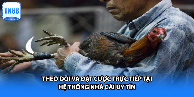 Theo dõi và đặt cược trực tiếp tại hệ thống nhà cái uy tín